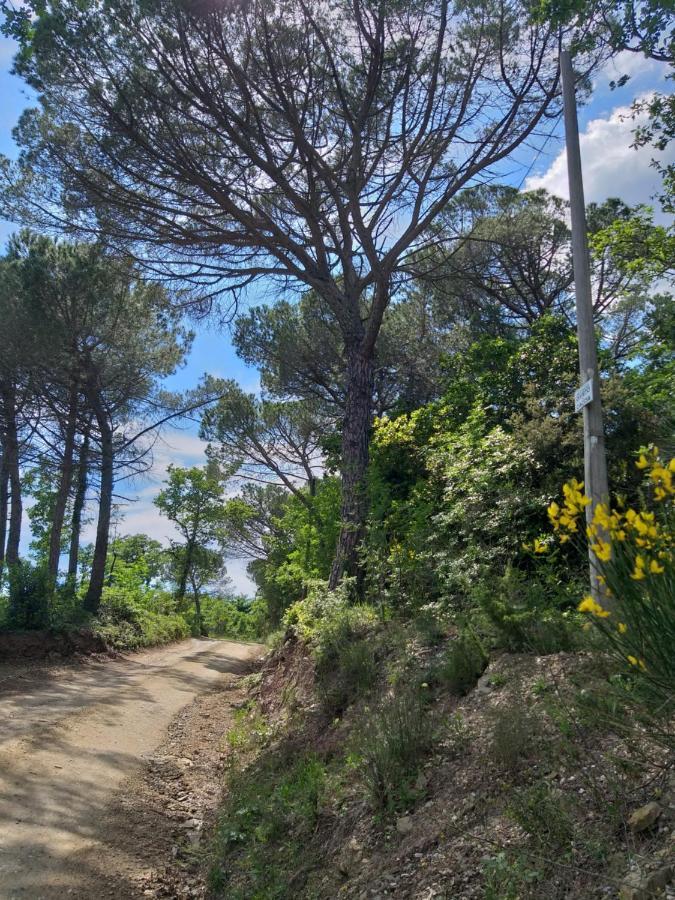 Chiantivillas Poggio a Vento Badia A Passigano Esterno foto